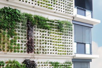 [Translate to Niederländisch:] Pflanzwand Adam von Richard Brink an einem Hochhaus zur Fassadenbegrünung mit diversen grünen Pflanzen
