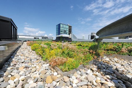 Both the gravel stops and the substrate rails work well as an edging solution for green roofs.   Photo: Richard Brink GmbH & Co. KG